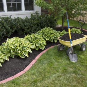Photo of Charleston's Outdoor Services