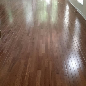 Photo of Quest Flooring