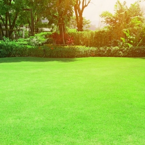 Photo of Luxury Lawn and Mosquito