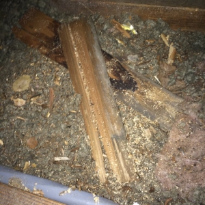 Photo of Tri-County Insulation