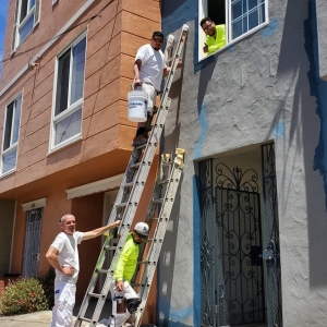 Photo of Vincent Powell Painting & Decorating