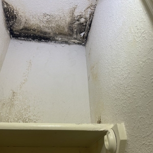 Photo of Infinity Water Restoration