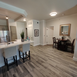 Fort Worth Alicia's Professional Cleaning Services