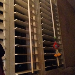 Photo of Custom Shutters 4 Less