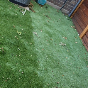 Photo of Mike Riley's Landscape