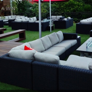 Photo of SYNLawn of Georgia