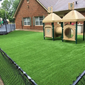 Photo of SYNLawn of Georgia