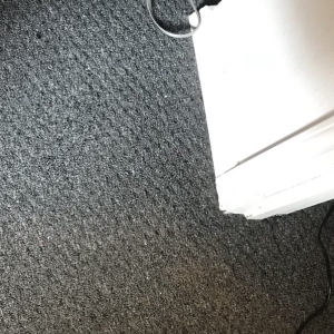 Photo of The Carpet Doctor