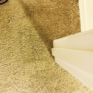 Photo of The Carpet Doctor