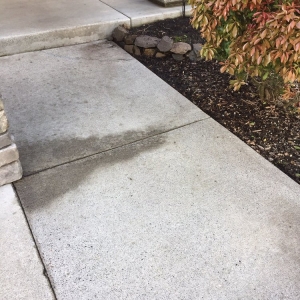 Photo of Cool Bright Pressure Washing