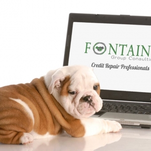 Photo of Fontaine Group Consulting