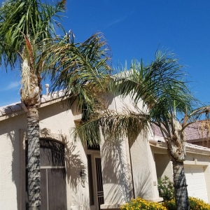 Photo of Organic Landscape Service