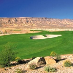 Photo of Organic Landscape Service