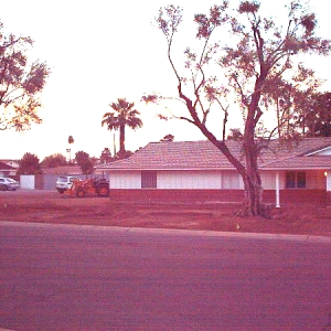 Photo of Organic Landscape Service