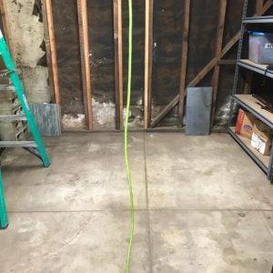 Photo of Rodent Solution