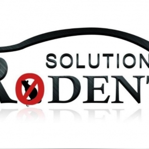 Photo of Rodent Solution