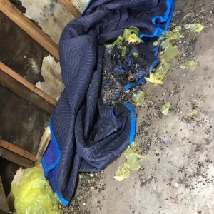 Photo of Rodent Solution