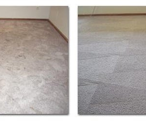 Photo of Go Green Dry Carpet Cleaning