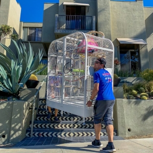 Photo of Dominant Moving Company