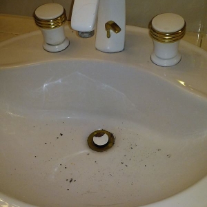 Photo of Top Cat Home Repairs