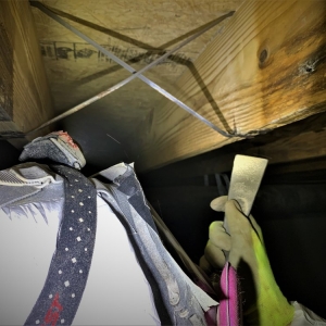 Photo of Crawl Space Ninja - Augusta