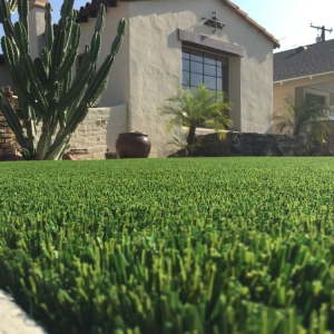 Photo of Purchase Green Artificial Grass
