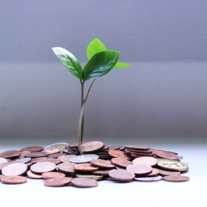 Photo of FishCoin Tax Relief