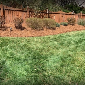 Photo of Total Lawn Care & Landscaping
