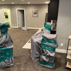 Paramount EZ Movers