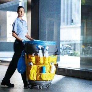 Photo of Ariel Janitorial Service