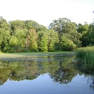 Photo of Sunset Hill Farm County Park