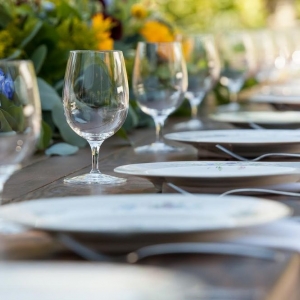 Photo of Ladybug's Event Services