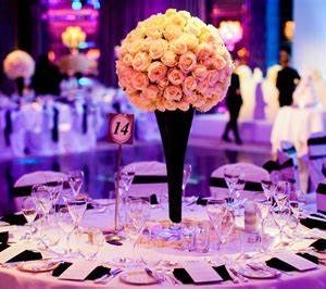 Photo of Ladybug's Event Services