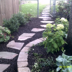 Photo of Land Escapes
