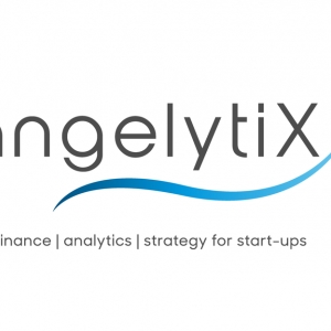 Los Angeles AngelytiX Consulting