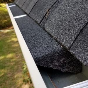 Photo of Daniels Gutter