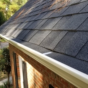 Photo of Daniels Gutter