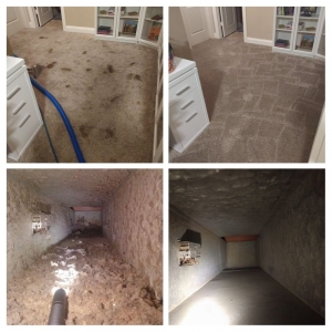 Photo of Pauly's Pro-Clean