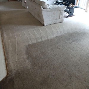 Photo of Pauly's Pro-Clean