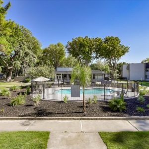 Photo of Blossom Hill