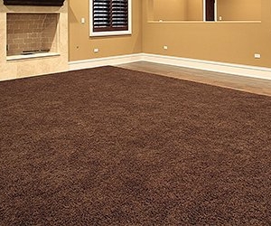 Photo of The Carpet Man