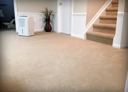 Photo of The Carpet Man