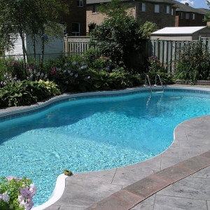 Photo of Blue Shark Pool Service
