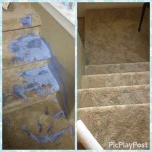 Photo of Cort Carpet Cleaning