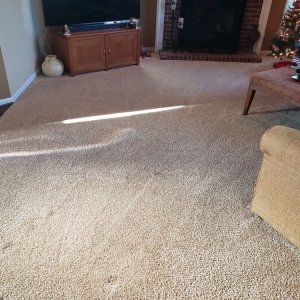 Photo of Cort Carpet Cleaning