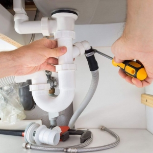 Photo of Plumbing Dog