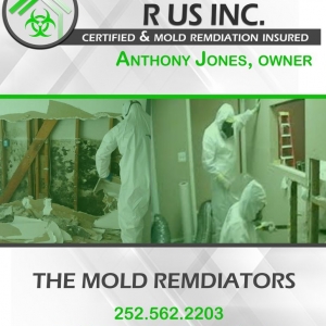 Photo of Mold Restoration R US