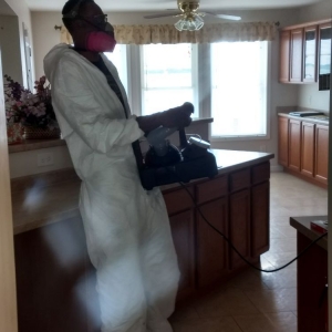 Photo of Mold Restoration R US