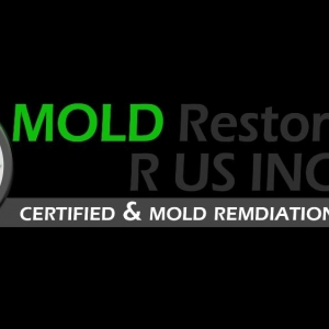 Photo of Mold Restoration R US