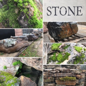 Photo of Barden Stone